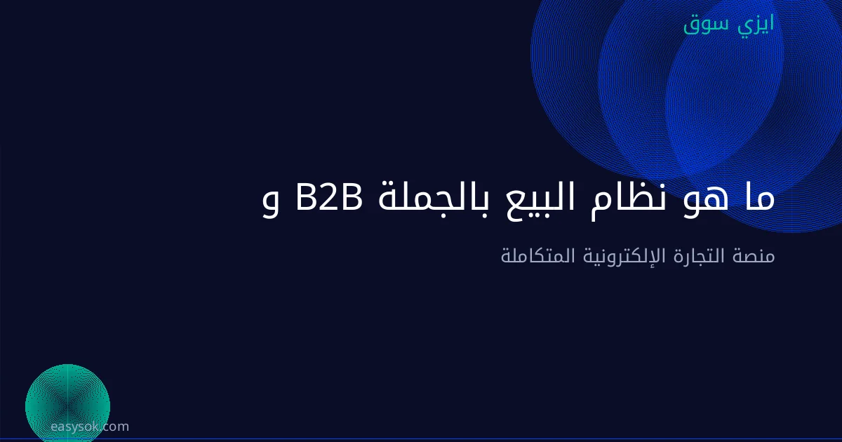 ما هو نظام البيع بالجملة B2B وكيف تستغله لمتجرك؟